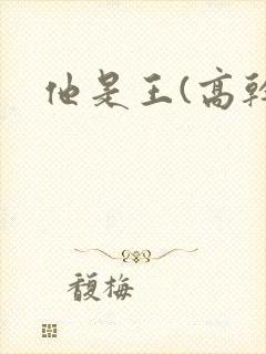 他是王(高干)