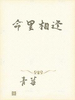 命里相逢