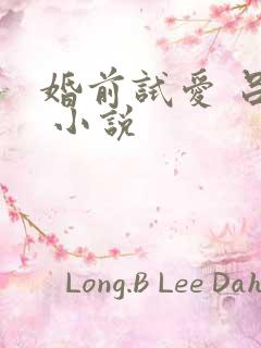 婚前试爱 吕颜 小说