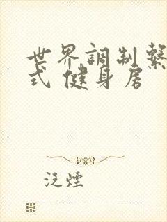 世界调制系统模式 健身房