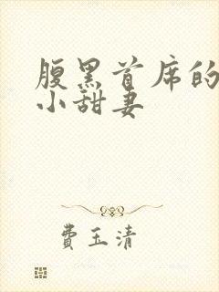 腹黑首席的替身小甜妻