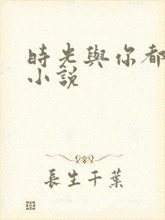 时光与你都很甜小说