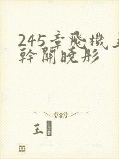 245章飞机上干关晓彤