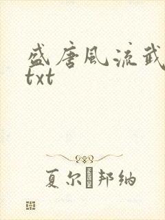 盛唐风流武状元txt