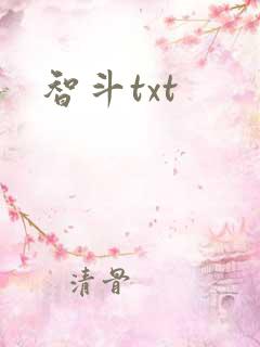 智斗txt