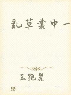 乱草丛中一杆枪