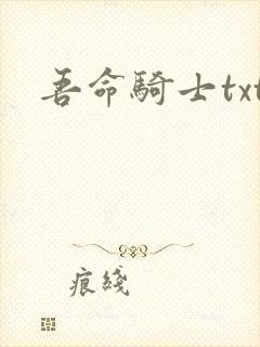 吾命骑士txt