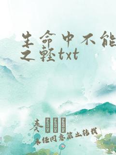 生命中不能承受之轻txt