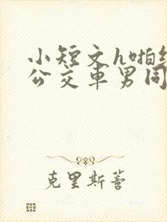 小短文h啪纯肉公交车男同