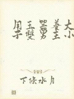 用玉器养大的皇子双男主小说