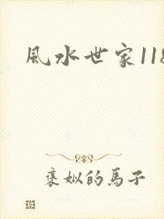 风水世家118