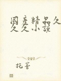 国产精品久久久久久小说