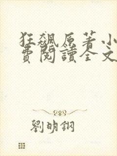 狂飙原著小说免费阅读全文