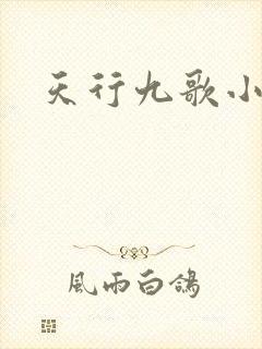 天行九歌小说
