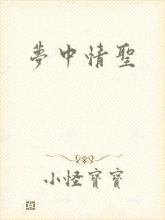 梦中情圣