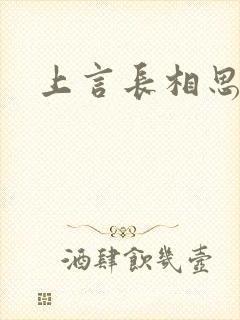 上言长相思