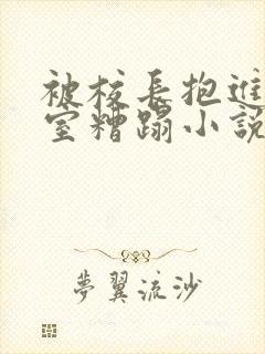 被校长抱进办公室糟蹋小说