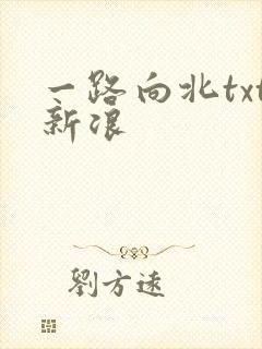 一路向北txt新浪