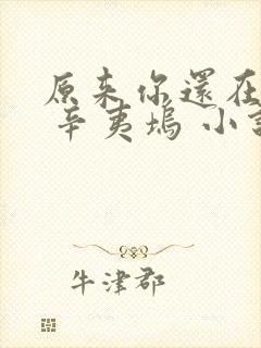 原来你还在这里 辛夷坞 小说