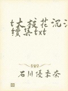 t大校花沉浮录续集txt