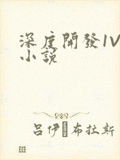 深度开发1V3小说