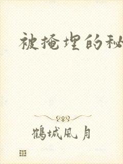 被掩埋的秘密