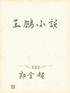 王鹏小说