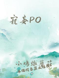 宠妾PO