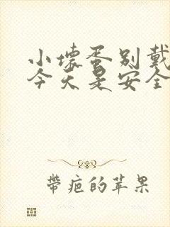 小坏蛋别戴套了今天是安全期