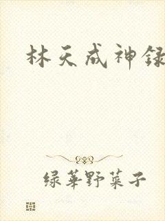 林天成神录