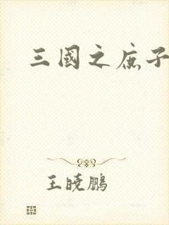 三国之庶子称雄