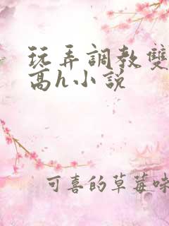 玩弄调教双胞胎高h小说