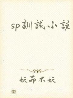 sp训诫小说