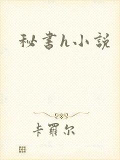 秘书h小说