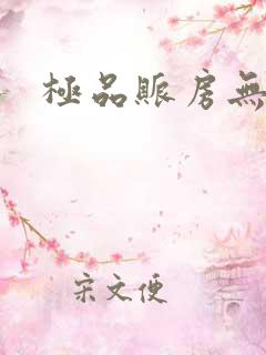 极品账房无弹窗