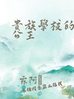 贵族学校的双面公主