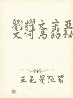 刘耀文宋亚轩车文河马的秘密河润滑油