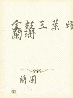 金枝玉叶 灯火阑珊