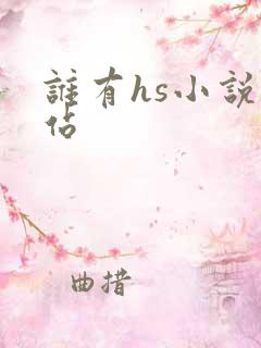 谁有hs小说网站