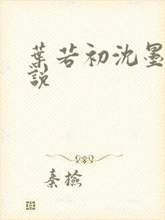 叶若初沈墨寒小说
