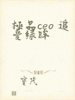 极品ceo 追爱绿眸