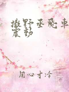 撒野丞飞车道具震动