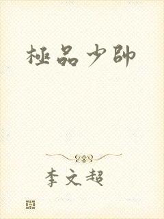 极品少帅