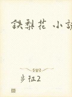 铁梨花 小说