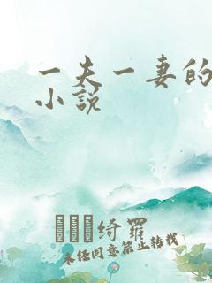 一夫一妻的玄幻小说