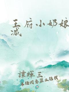 王府小奶娘未删减