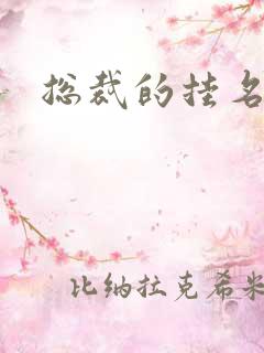 总裁的挂名娇妻