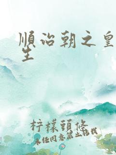 顺治朝之皇后重生