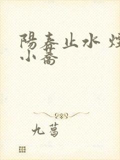 阳春止水 烟树小荞