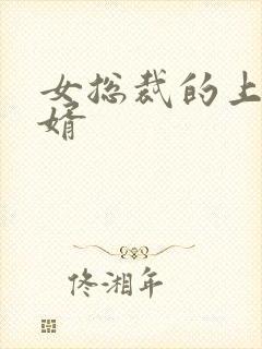 女总裁的上门女婿